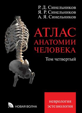 Атлас анатомии человека: Т. 4