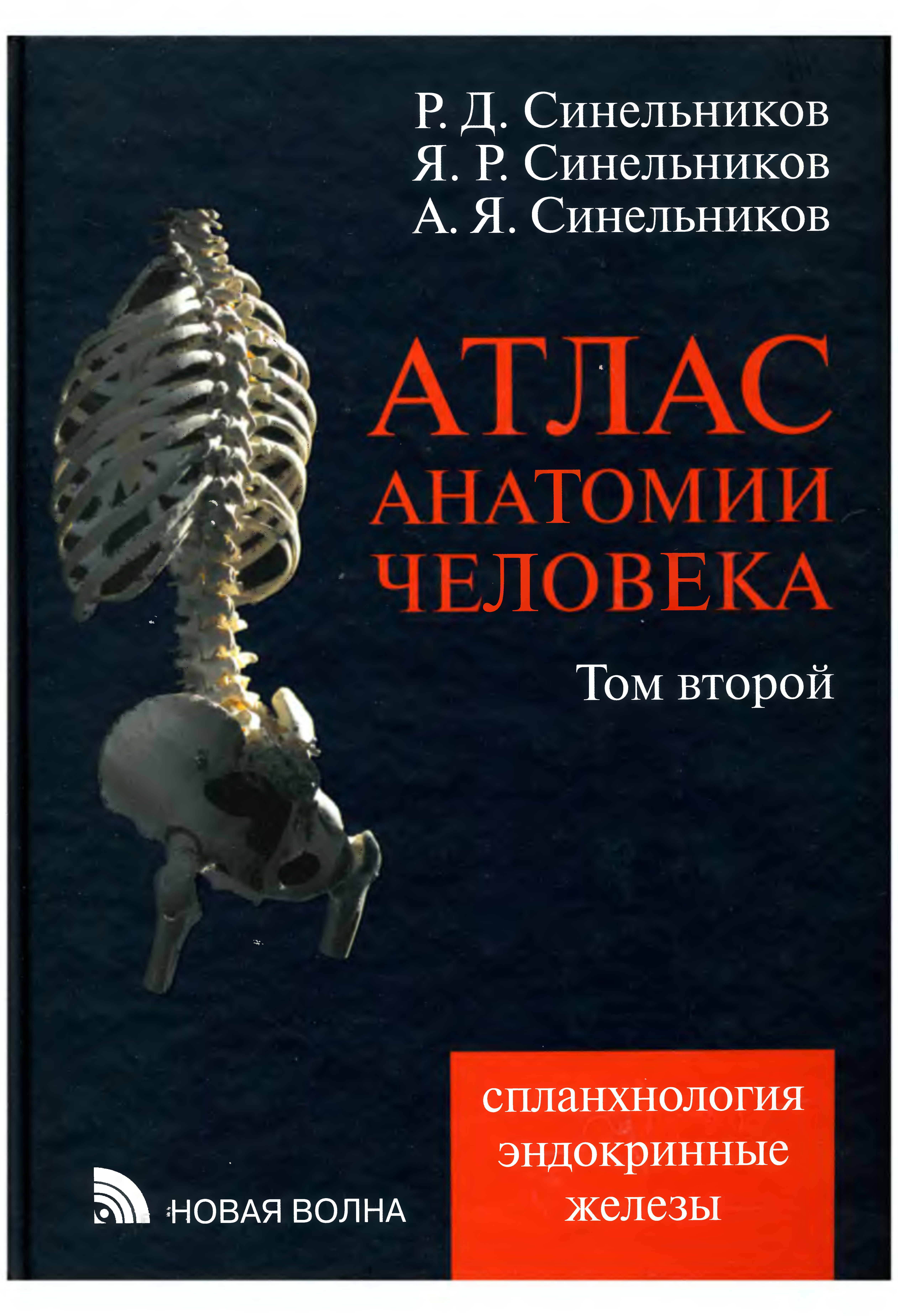 Атлас анатомии человека: Т. 1