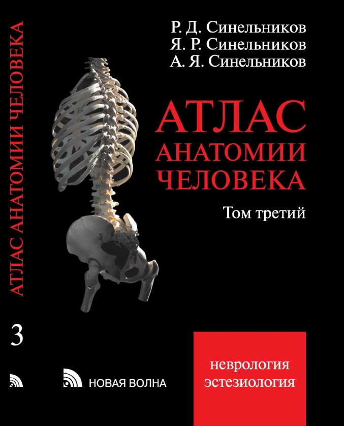 Атлас анатомии человека: Т. 3