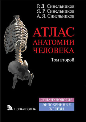 Атлас анатомии человека: Т. 2