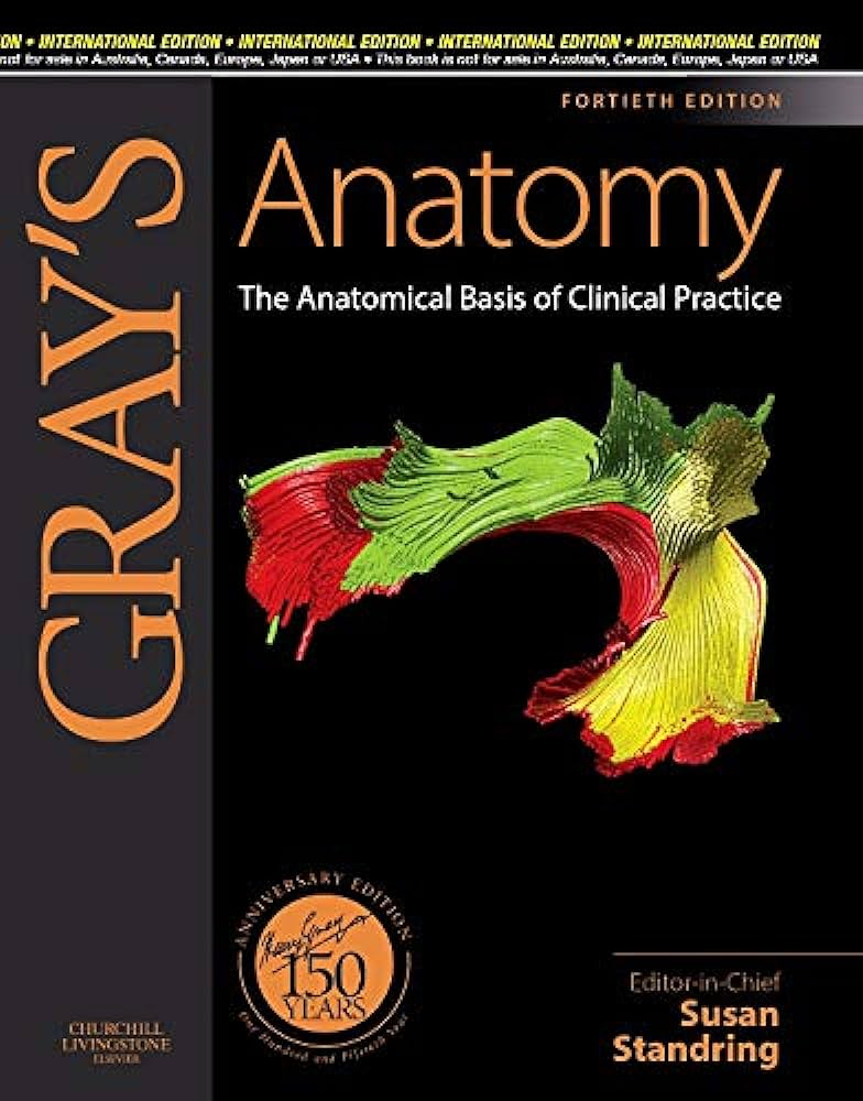 Gray's anatomy : the anatomical basis of clinical practice: 40th Edition