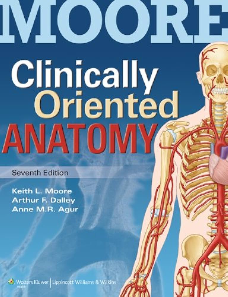 Clinically Oriented Anatomy: 7th Edition.